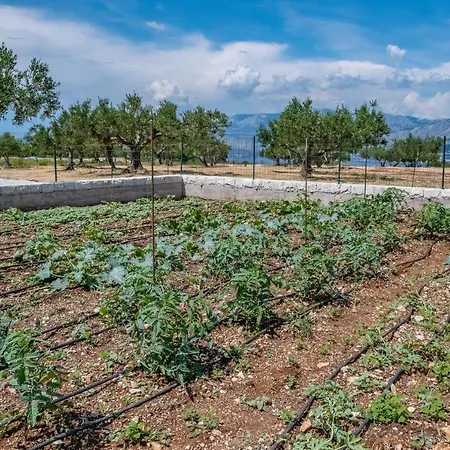 Secluded Bracuta With Swimming Pool Tatil Evi