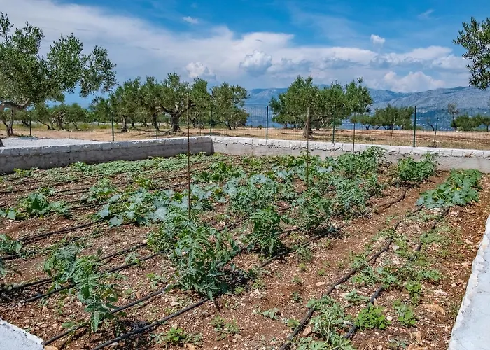 Secluded Bracuta With Swimming Pool Holiday home